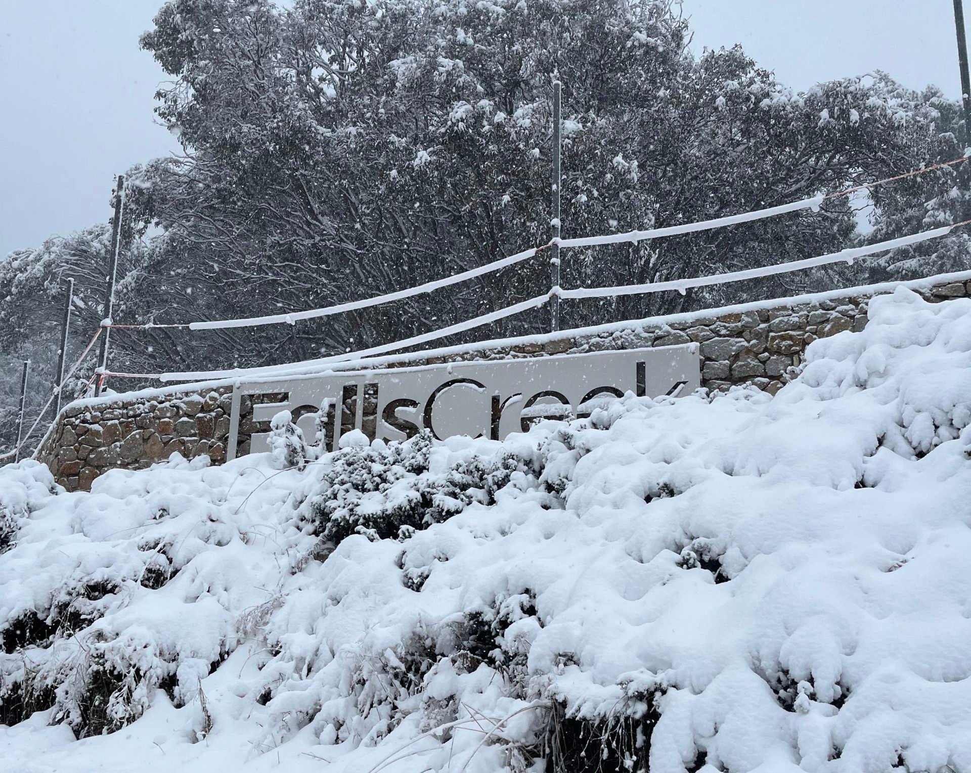 Cup Weekend Access Falls Creek Alpine Resort