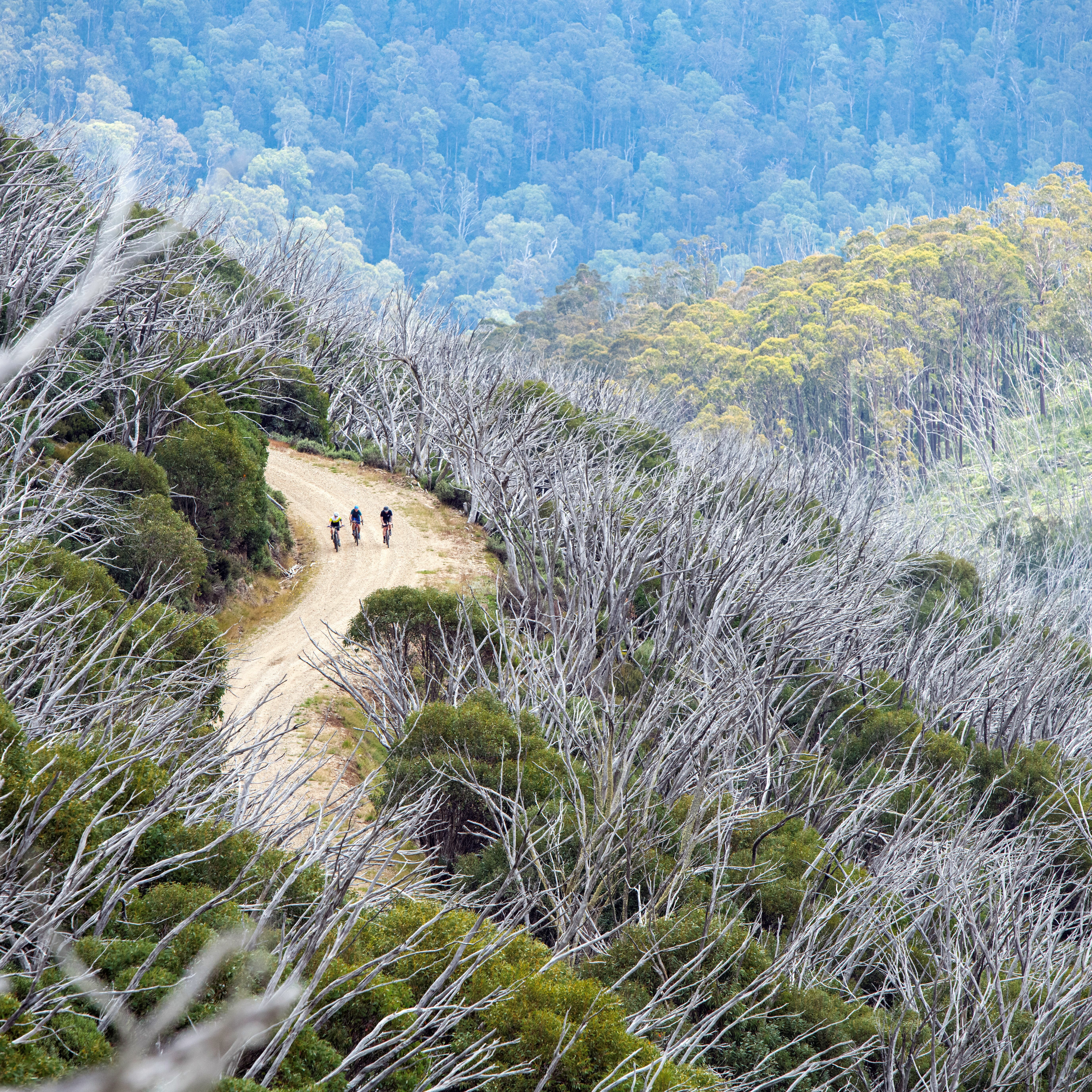 Gravel riding at Falls Creek